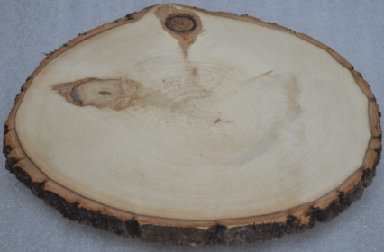 Rustic Lazy Susan, Log Slice with bark (size: 14 1/2" to 16")